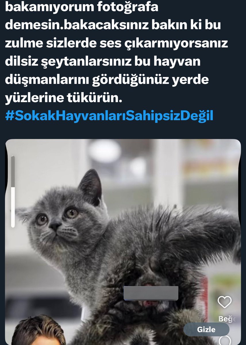 Be allahsız be kitapsızlar be Deccal soyları ya siz nasıl bir yaratıksınız lan oğlum hiçmi izzet-i nefsiniz yok lan hiçmi insanlıktan pay düşmedi size insanları delitmek için elinizden geleni yapıyorsunuz birde bu şrfszlği normalleştirmeye çalışan kppler ve kppe doğurdukları var