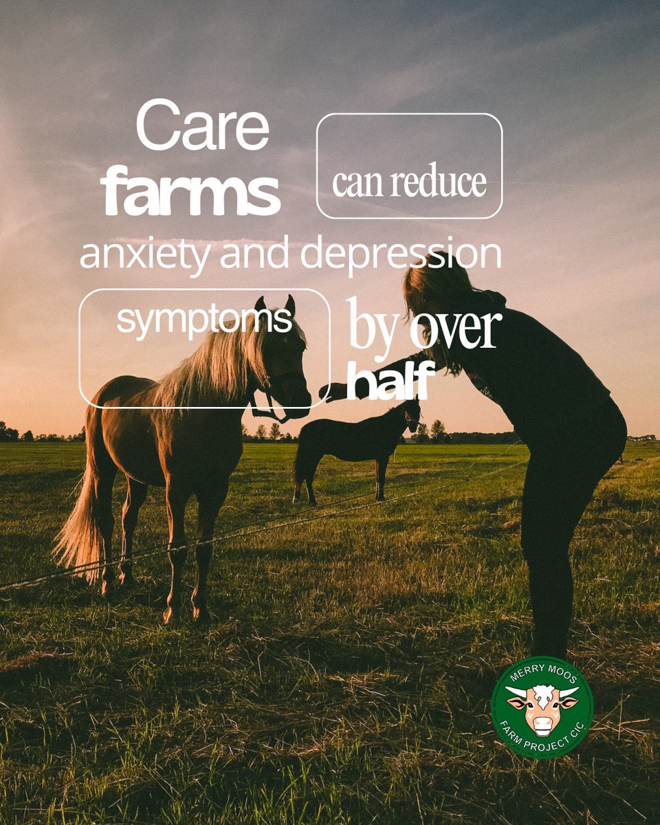 Merry Moos Farm Project CIC tweet media