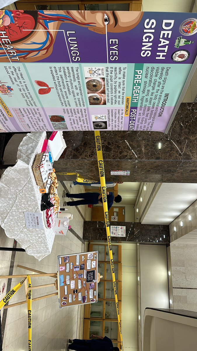 mohsenh22i's tweet photo. The winner poster❤️🔥⭐️
#poster_day #Med25 https://t.co/XoogxFnOs3