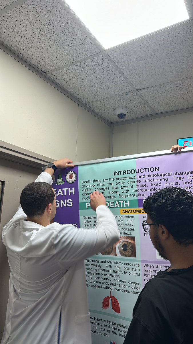 mohsenh22i's tweet photo. The winner poster❤️🔥⭐️
#poster_day #Med25 https://t.co/XoogxFnOs3
