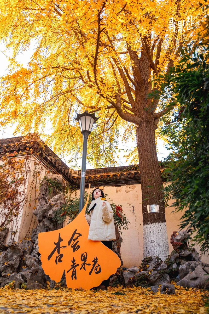 TianNing,ChangZhou tweet media