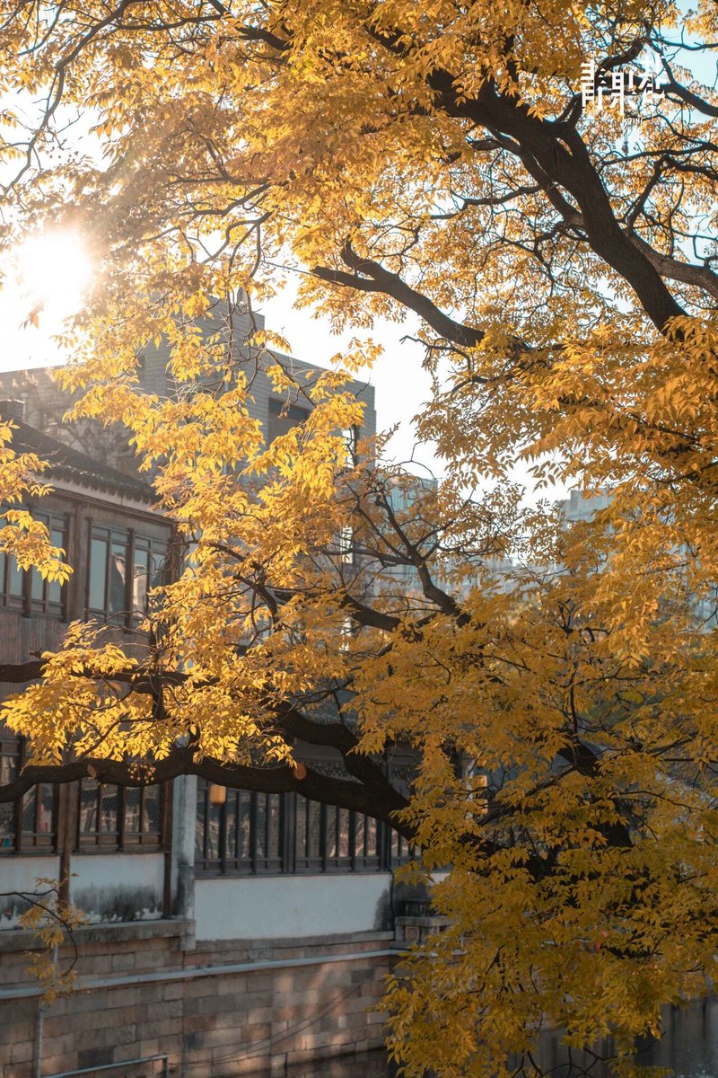 TianNing,ChangZhou tweet media