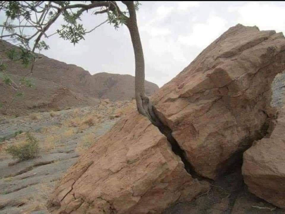 AdelAliBinAli's tweet image. ﴿إِنَّما أَمرُهُ إِذا أَرادَ شَيئًا أَن يَقولَ لَهُ كُن فَيَكونُ﴾ ❤️