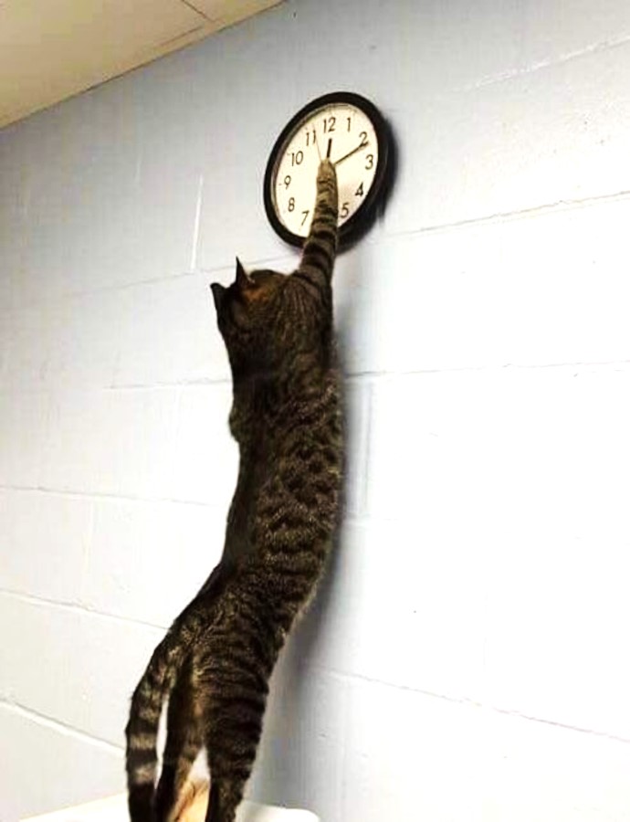 Moin, 10 Grad nass grau. Der Kaffee steht bereit, Twitter "X" auf. Vögel und Katzen versorgt. Warten auf die Stadtwerke, die einen neuen Stromzähler einbauen wollen. Hatten sich für 9h angekündigt. Kommt gut und sicher in die Woche.☕️😎