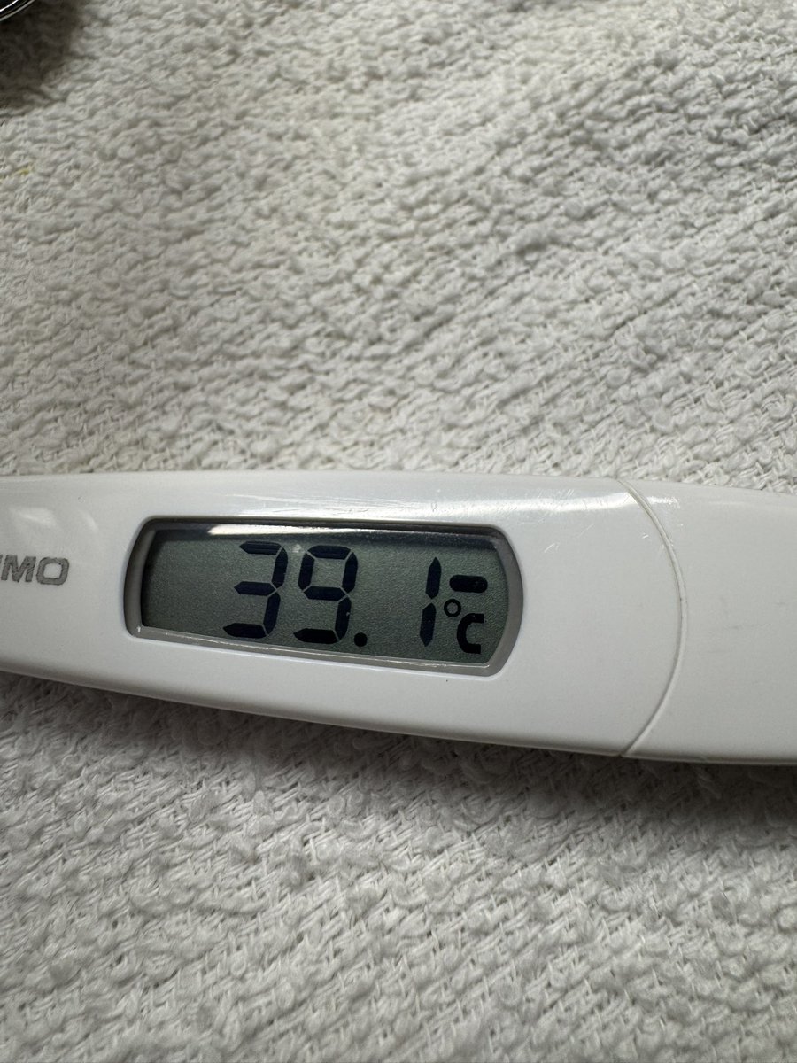 ちびタカ (@saturn0822) / Posts / X