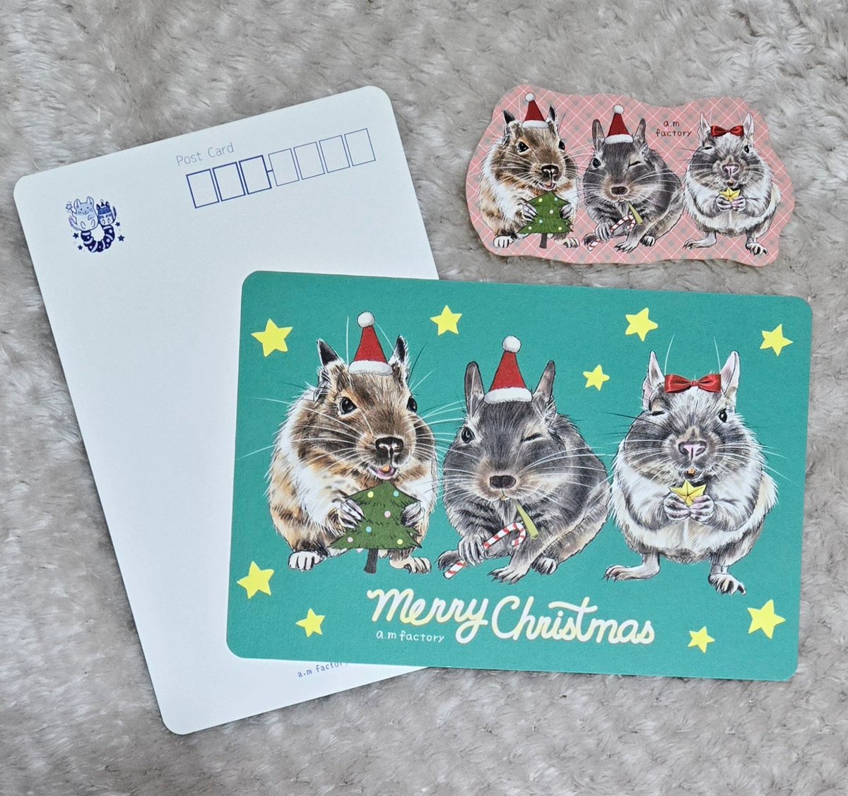 デグーのチップ&ちょびんとモリナガアメ (@degu_chip) / Posts / X