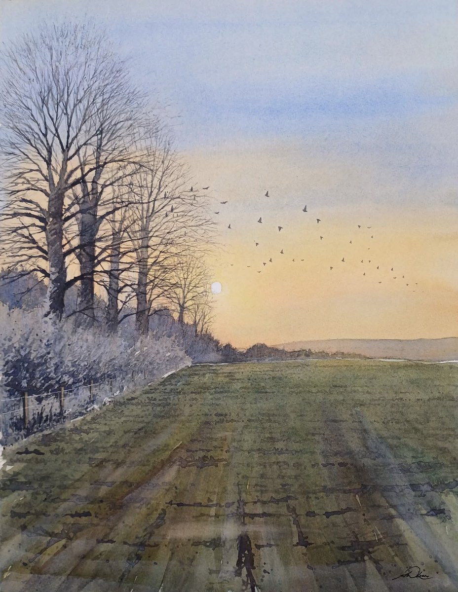 " Home to roost "
watercolour

#wintersun #watercolors #paintings #artworks