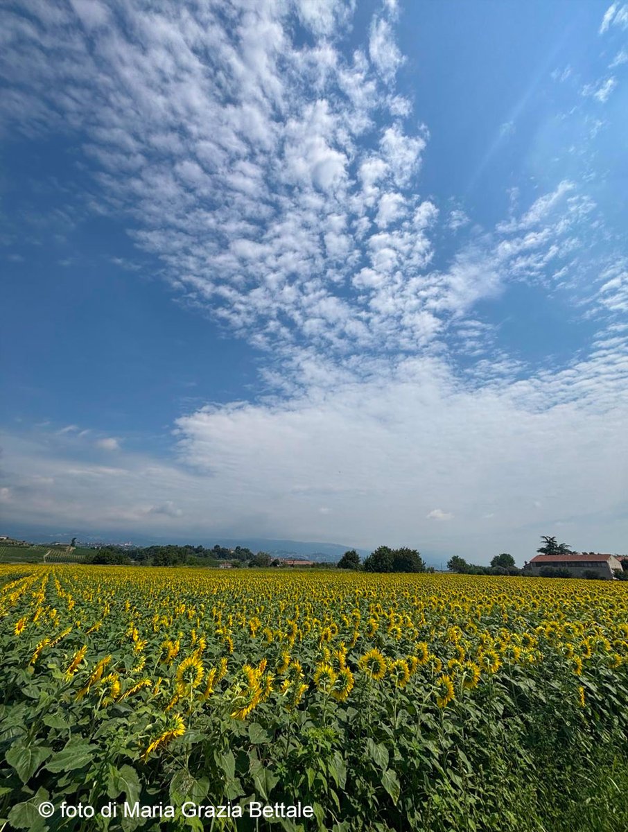IL CSV Informa
"Nel donare, troviamo il senso della vita”
Viktor Frankl

Leggi l'editoriale:
csv-vicenza.org/web/2025/12/08…

#lacomunitàsiracconta 
#csvdivicenza 
#volontariatovicentino