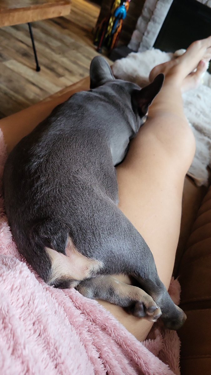 Goedemorgen.  De ondeugd is alweer moe. Koffietijd dus😉😄