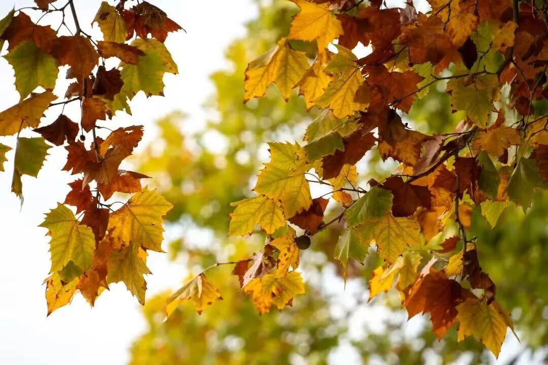 TianNing,ChangZhou tweet media