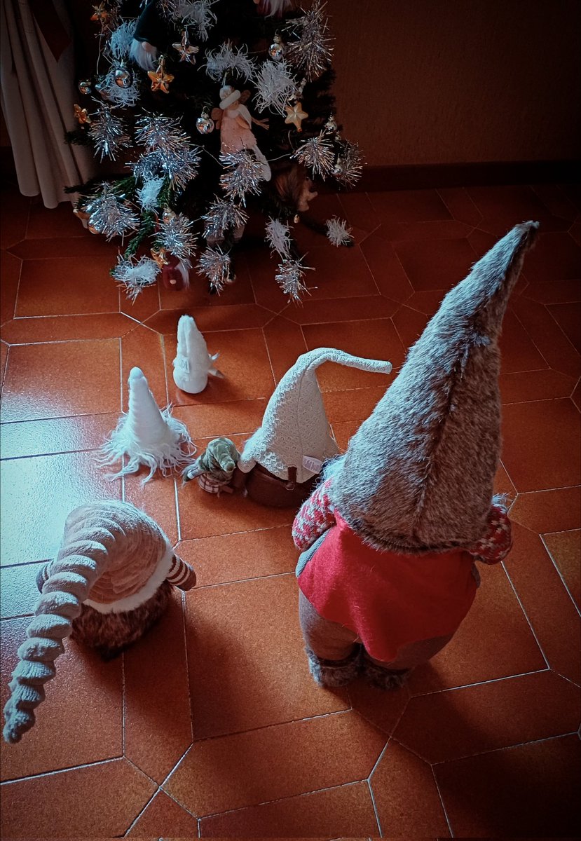 irlandese67's tweet photo. Voi iniziate ad avviarvi...
#Buongiorno 
#elfi
#gnomi
#prepariamoci
#comedatradizione
#spiritonataliziovieniame
#immacolata https://t.co/o8eLbAK5Mq