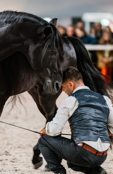 SimsXolos61130's tweet photo. Geneveve 2025
le grand Slam
#CHIG #chigeneve #chigeneva #equestrian #horselover https://t.co/6ciTT5P2In