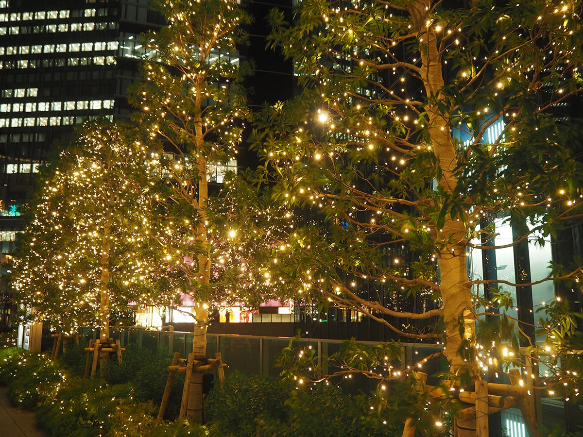 The area by NagoyaStation is ready for winter with trees adorned with  Christmas lights for a heartwarming touch to winter🧥🥰  t.comKIH7vtKud Take an invigorating street around Nagoyas main  hub as you enjoy