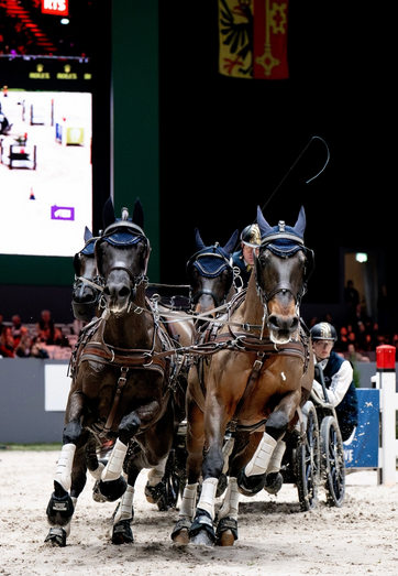 SimsXolos61130's tweet photo. Geneveve 2025
le grand Slam
#CHIG #chigeneve #chigeneva #equestrian #horselover https://t.co/6ciTT5P2In