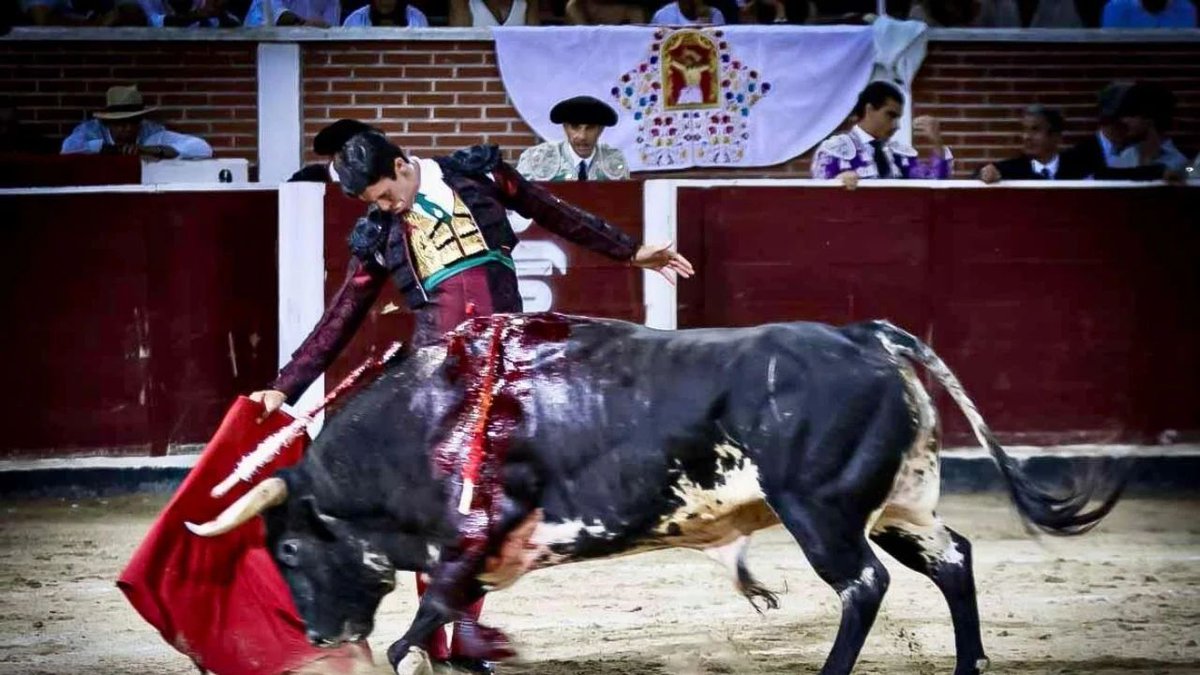 𝗘𝗡𝗧𝗥𝗘𝗩𝗜𝗦𝗧𝗔 .- Diego García: “A mí Madrid me lo ha dado todo y sé que me están esperando”

👉🏻  burladero.tv/entrevistas/20…