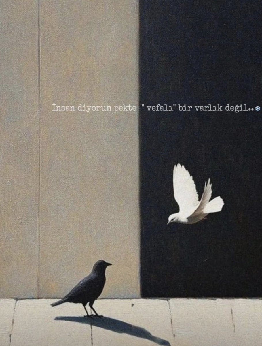 Herkese iyi haftalar.