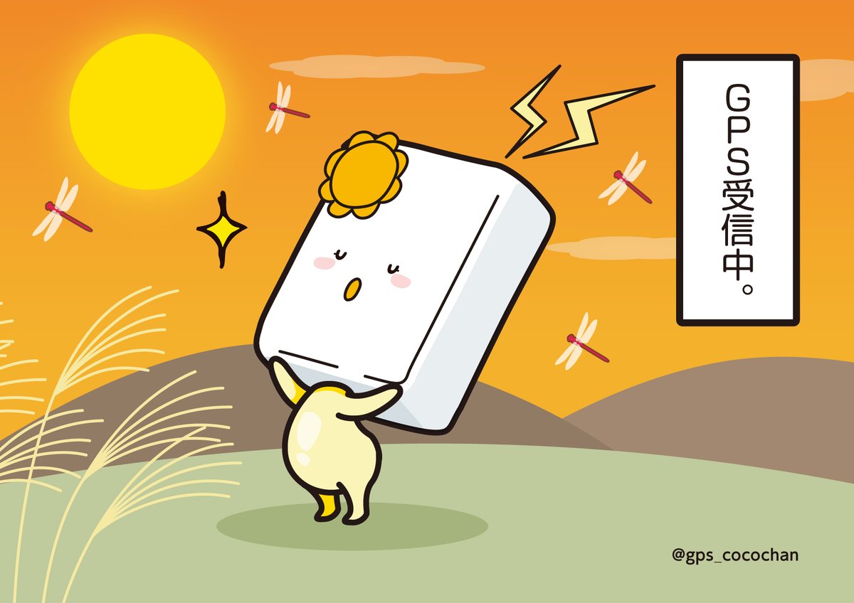 ここちゃんさん mqdefault.jpg