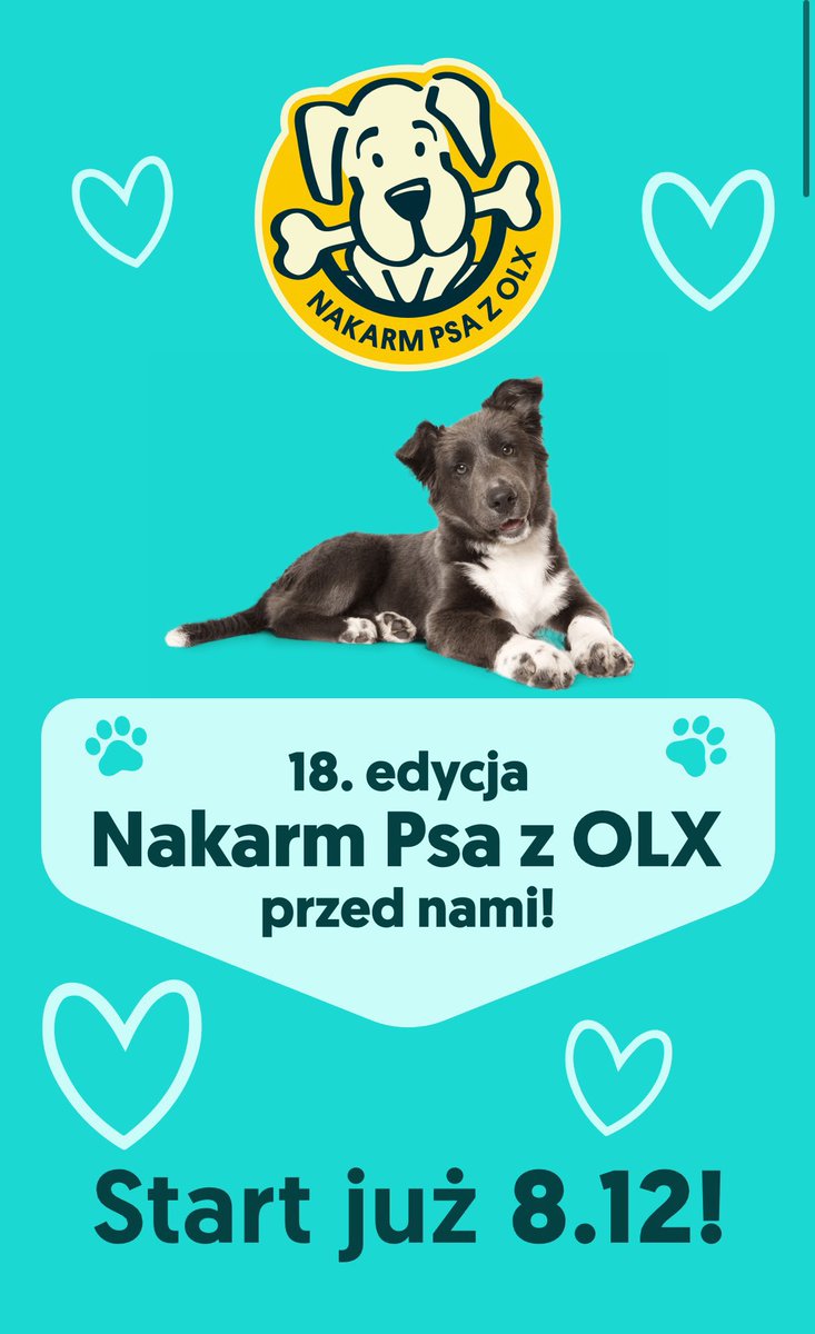 dziś wraca karmienie psów z olx