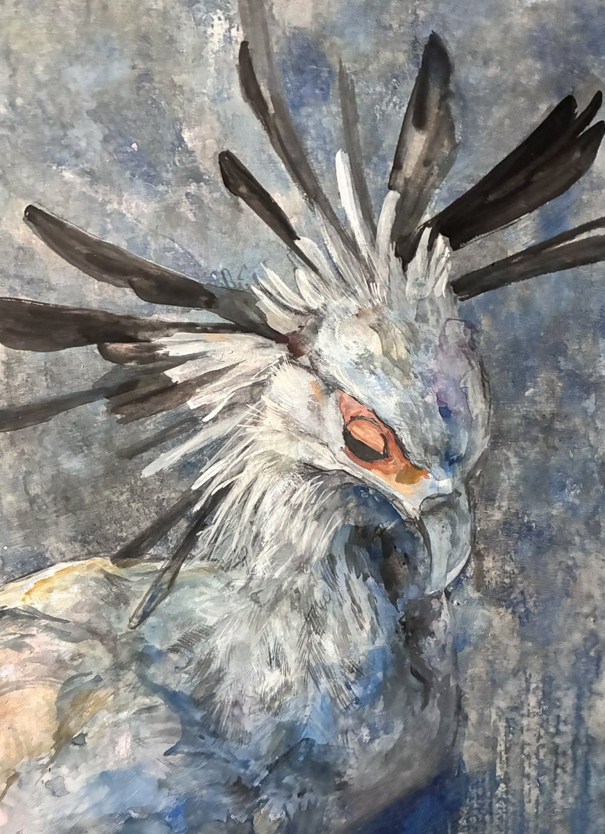 テラジカ COMITIA154 南1 て59a (@mettyaseibutsu) / Posts / X