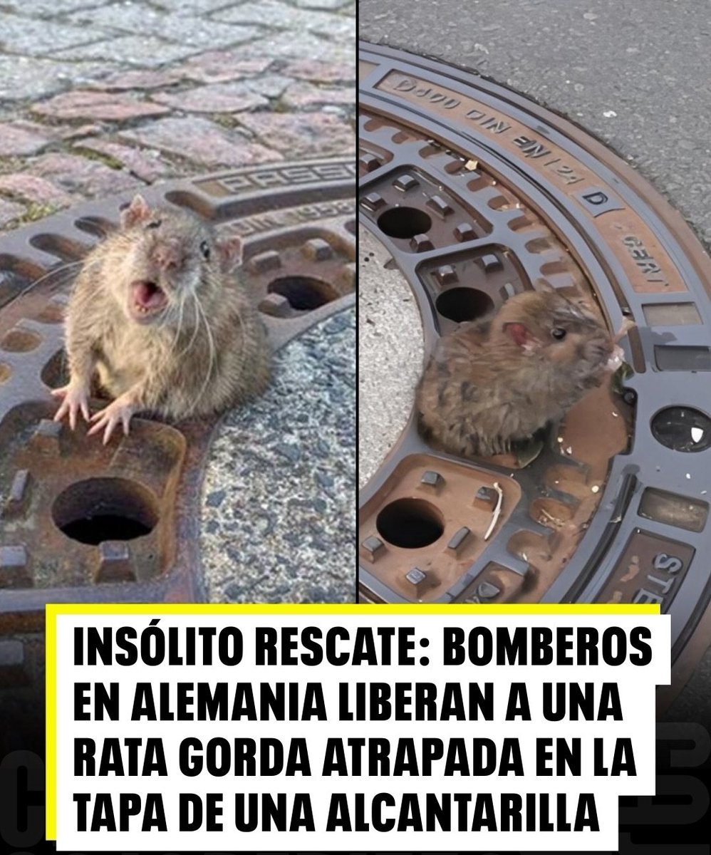 Buenos días 💙 
Os lo dejo a vuestra imaginación 😏