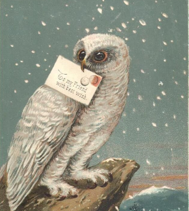 🤍🦉🤍Sending everyone a Best Wish this #OwlishMonday!