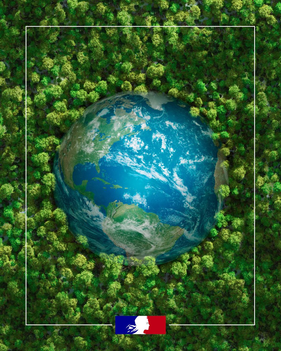 Jeunes_Gouv tweet media