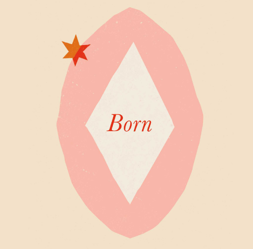 The Procrastinator Times tweet media