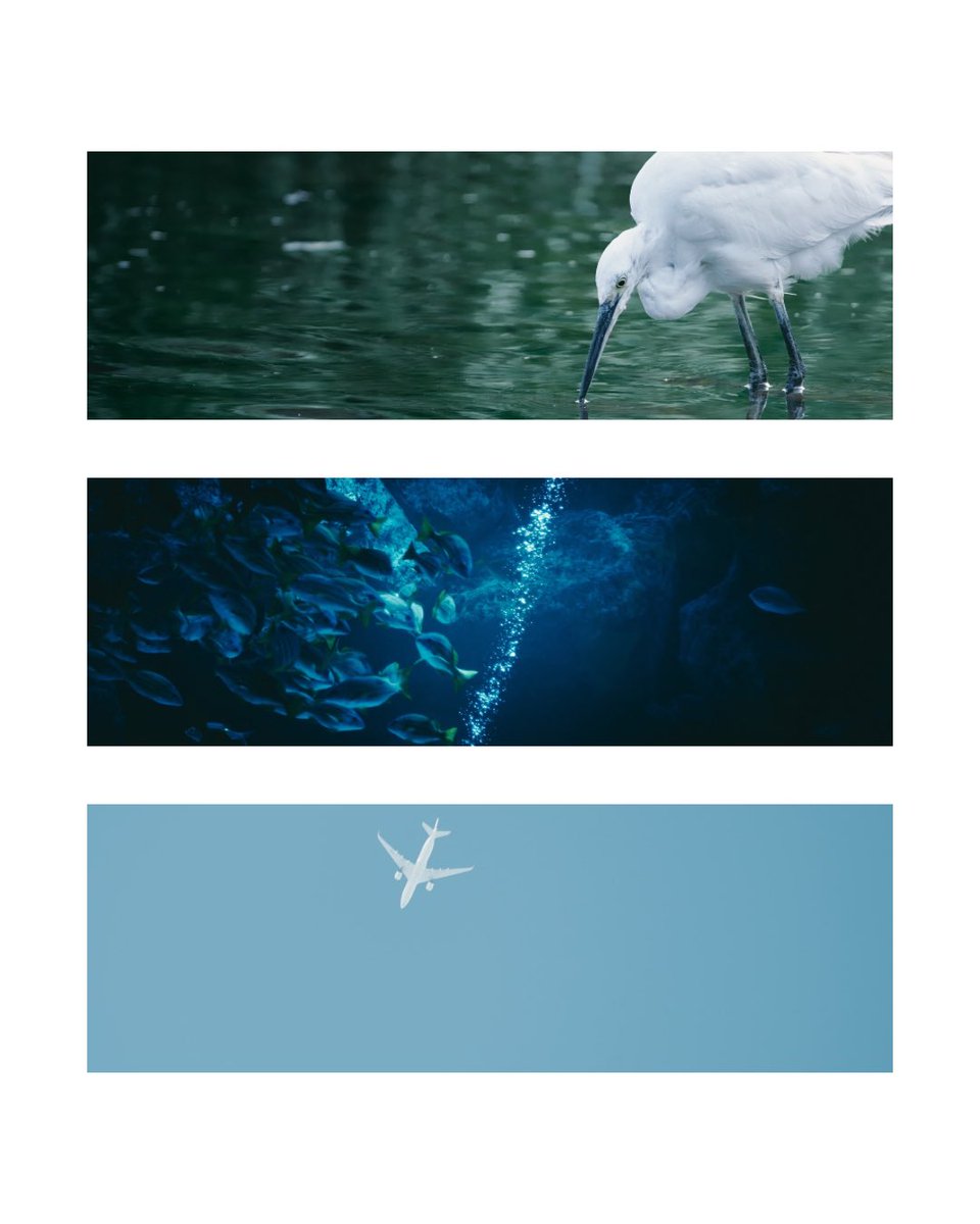 Q (@q_photograph) on Twitter photo 