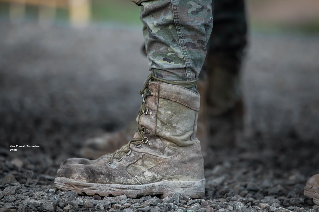 Fco.Francés Torrontera tweet media