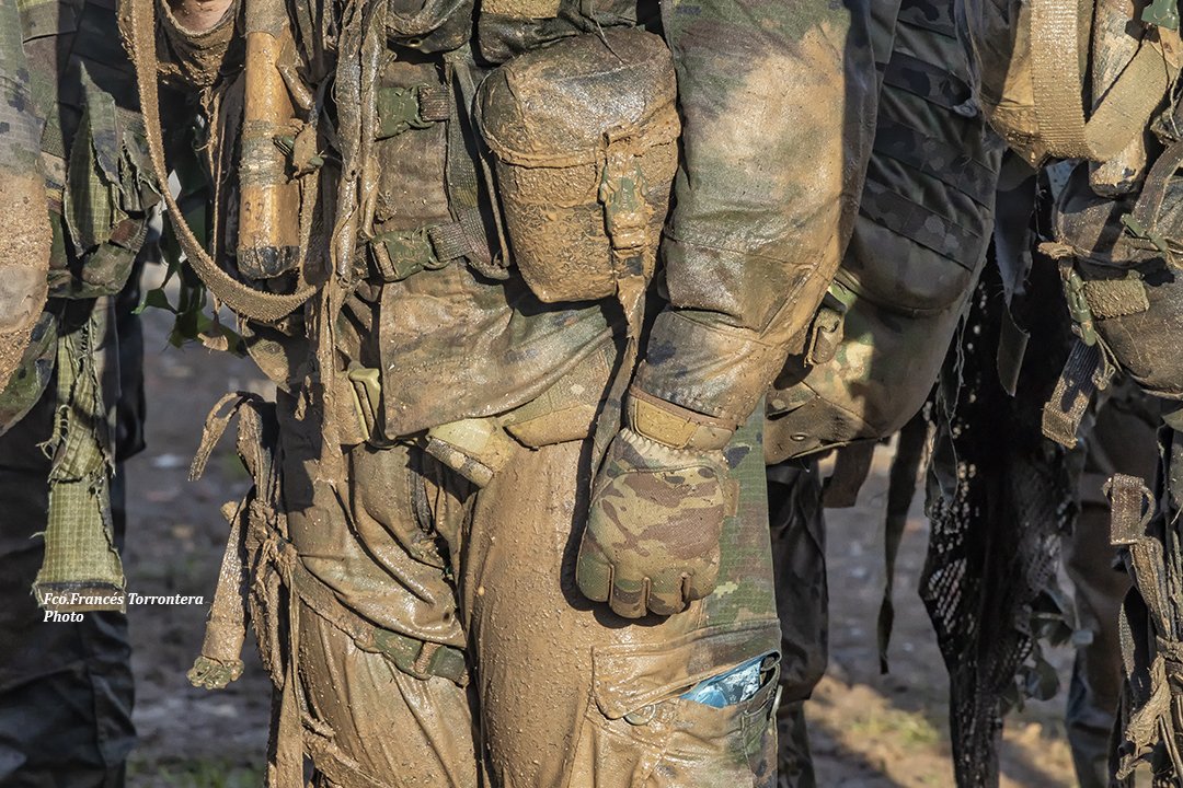 Fco.Francés Torrontera tweet media