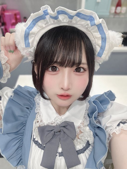 子猫maidcafeRagdollのツイート