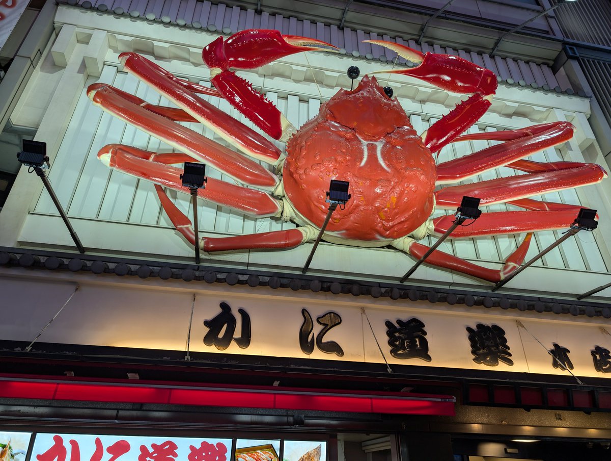 道頓堀様 確認用 道頓堀様 確認用 道頓堀様 確認用 【公式通販】