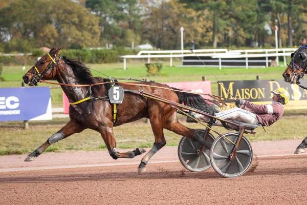 Enzo Maillet tweet media