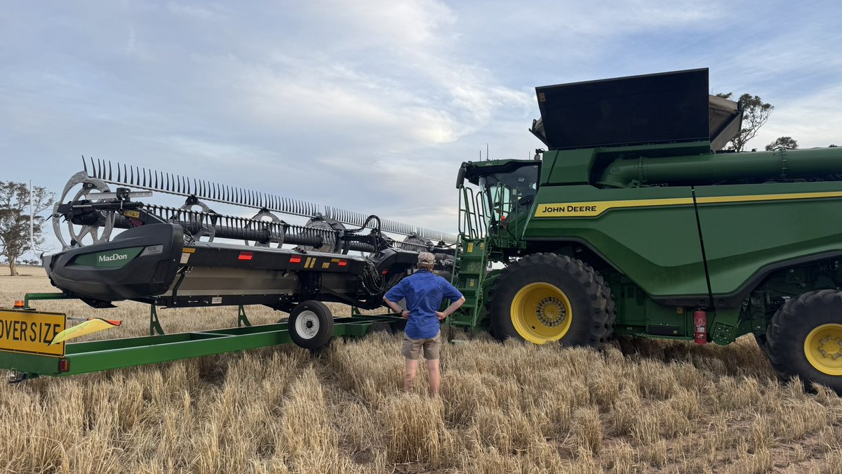 grainvic's tweet image. #harvest25