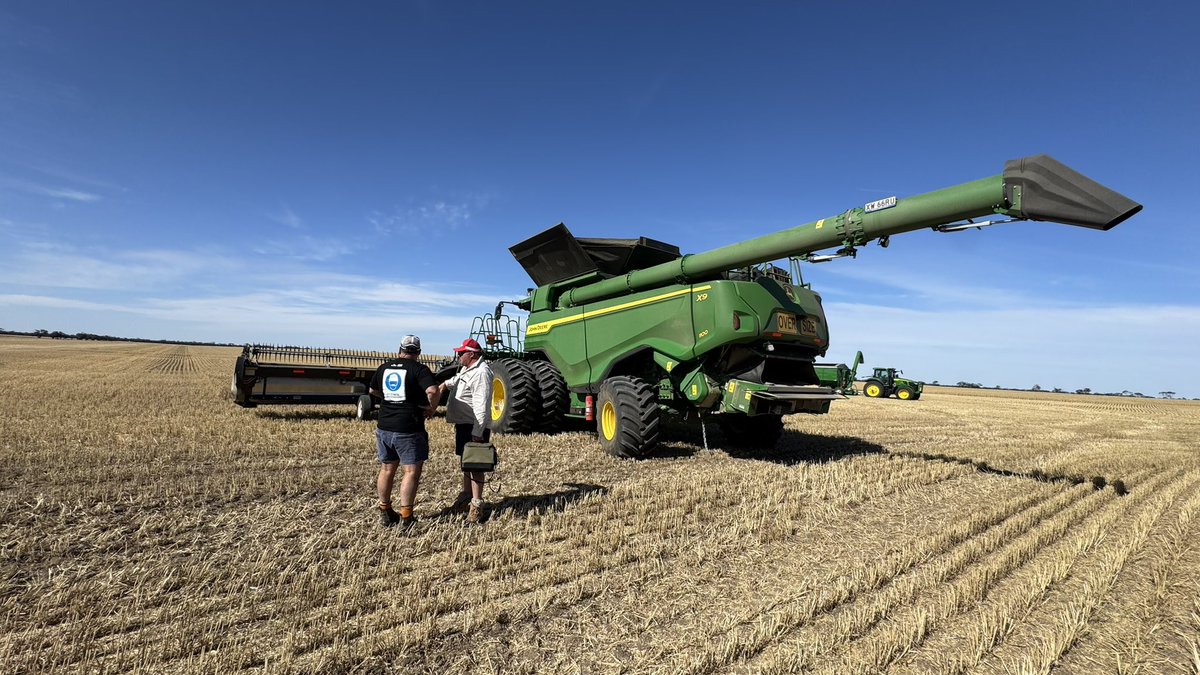 grainvic's tweet image. #harvest25