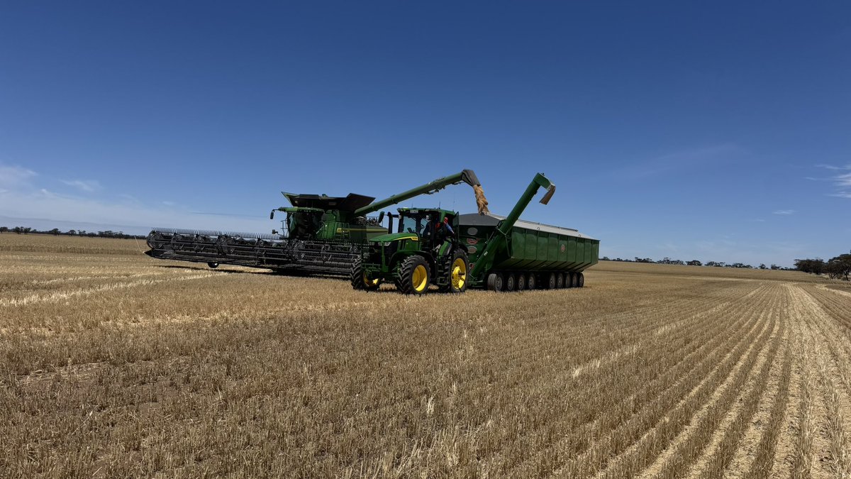 grainvic's tweet image. #harvest25