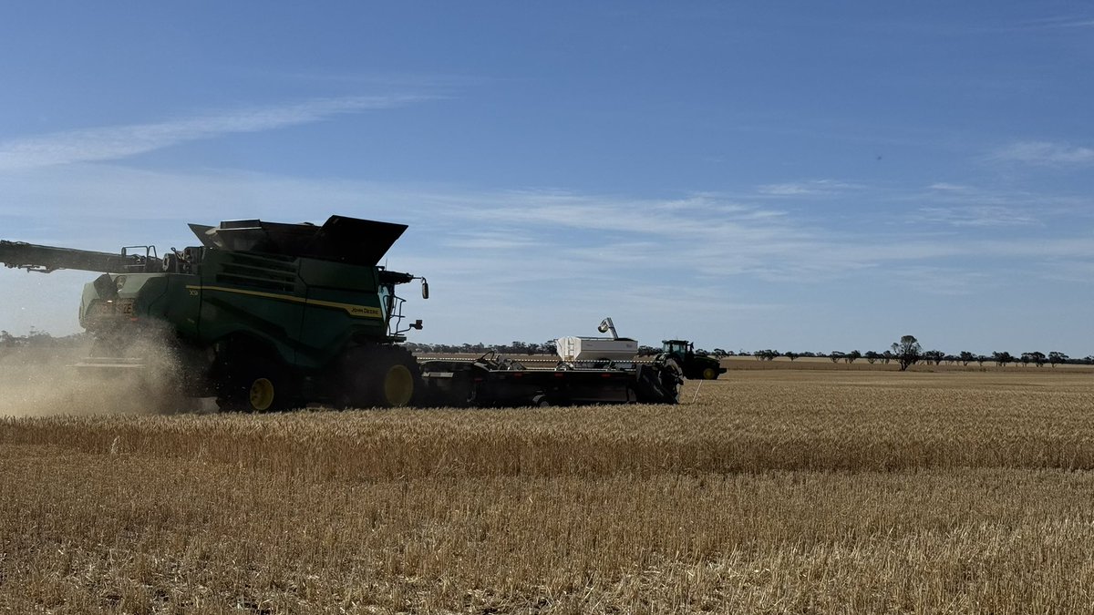 grainvic's tweet image. #harvest25
