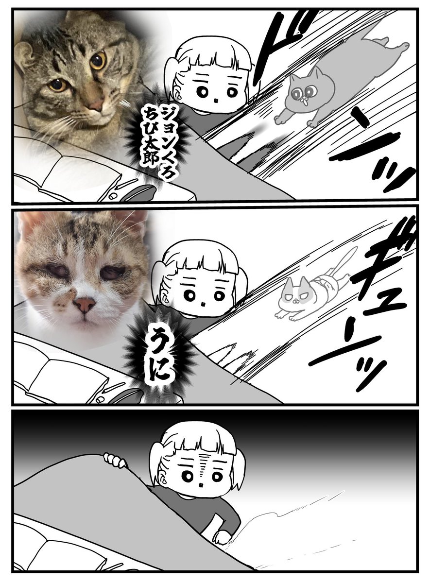 ニンゲンはいつだって下僕 
