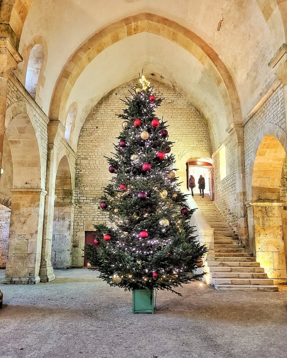 🟢 𝗖𝗘 𝗪𝗘𝗘𝗞-𝗘𝗡𝗗 🥳 | Le marché de Noël de l’abbaye de #Fontenay approche ! Qui sera de la fête ? 😊

Au programme, les 13 et 14 décembre :
🎄 Marché de Noël
🕯️ Visites guidées aux flambeaux 👉 bit.ly/BilletterieAbb…
✨ Crèche « Les 4 saisons »

🌐 abbayedefontenay.com