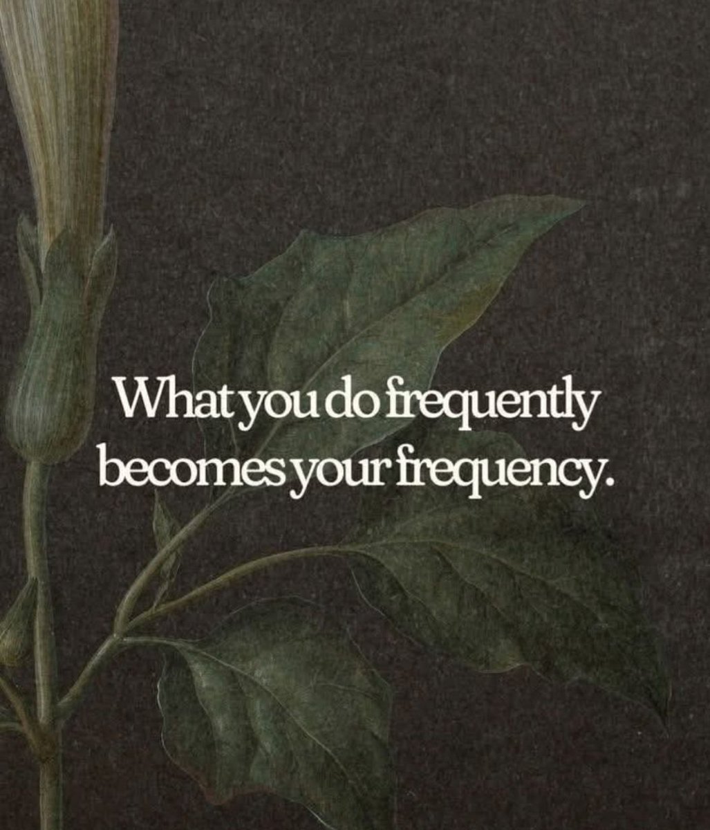 AQP Alchemy tweet media