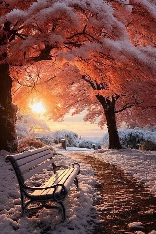 Monday arrived softly, like dew kissing newly opened petals.

The morning wind whispers: rise,

let this day bloom in your steps.

Welcome, beautiful Monday.

Have a peaceful new week ⚘❦დ💧