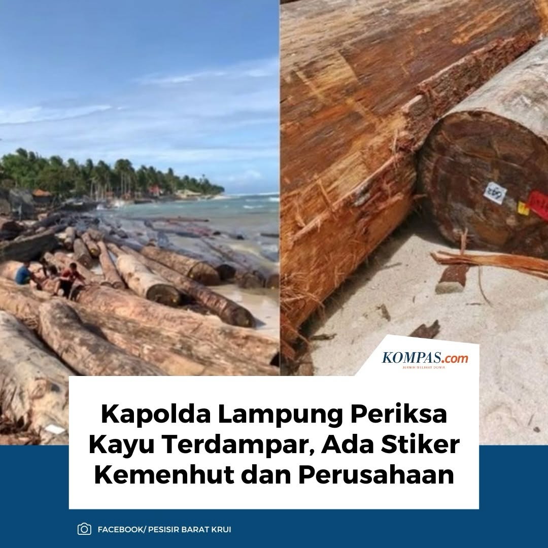 Kayu siapa ini??? <a href="/kemenhut_ri/">Kementerian Kehutanan RI</a>