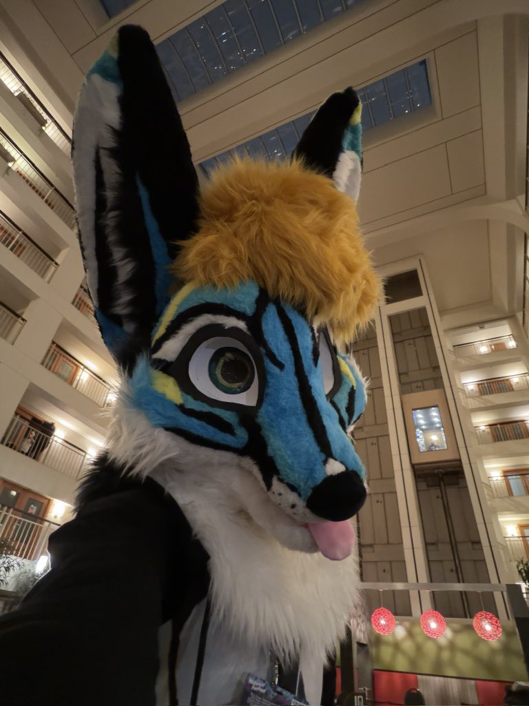 MFF was such an amazing time as always. 
I hope you beans enjoy the rest of your stay at MFF 2025 abwah