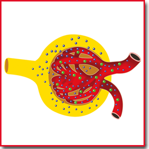 Continuum AEP tweet media