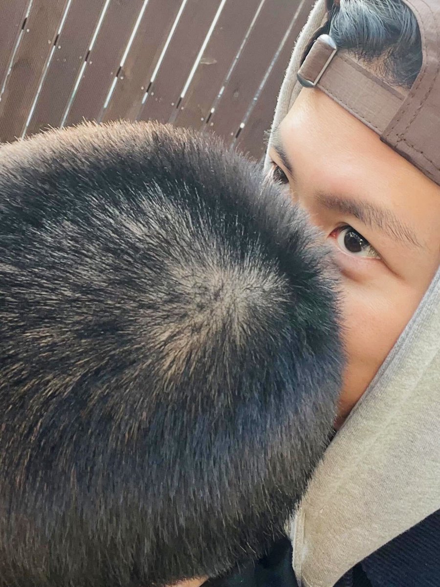 취향의 도영 tweet media