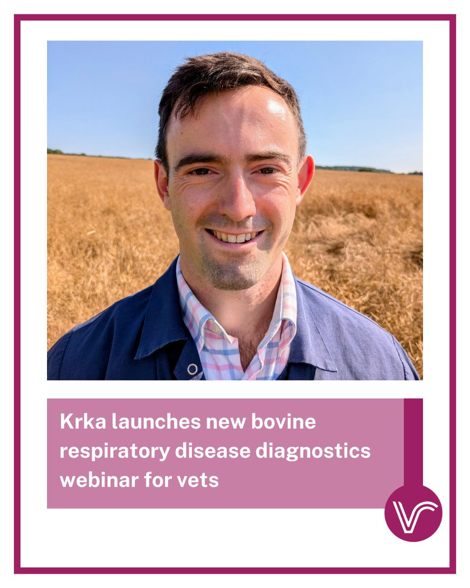 Vet Report tweet media