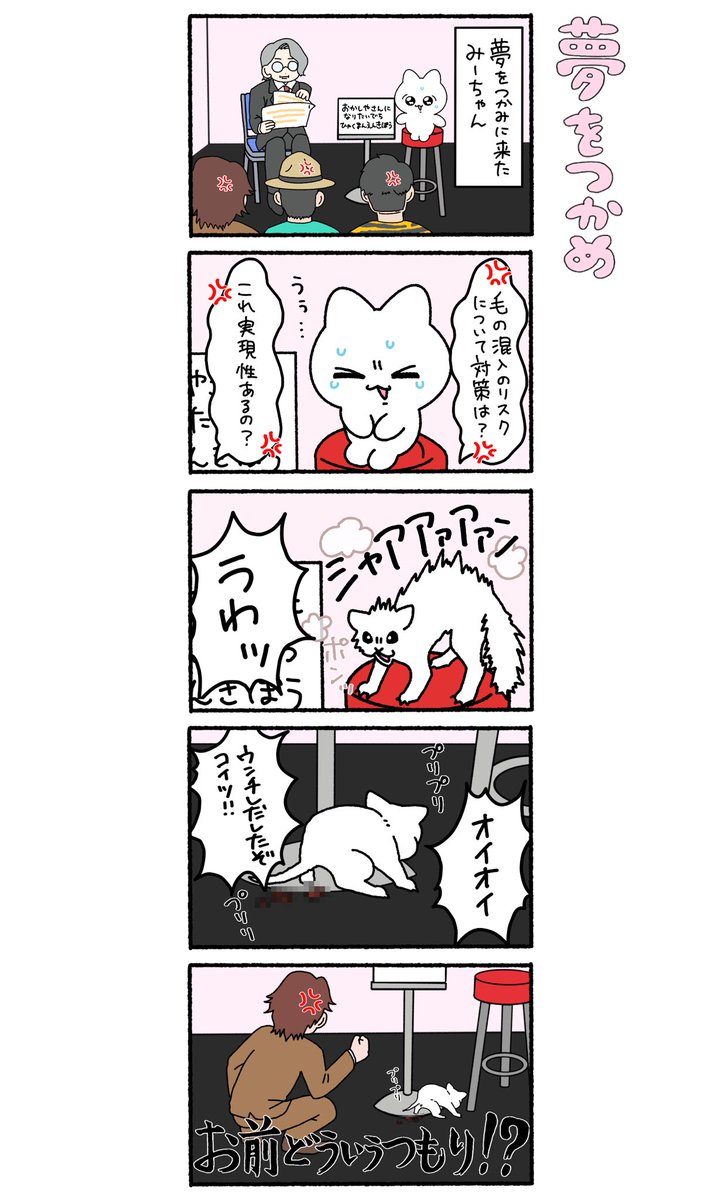 everydaymeechan's tweet image. 志願者みーちゃんの場合