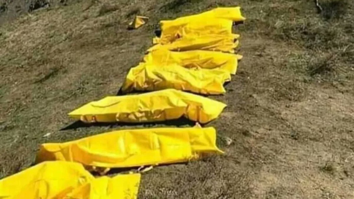 TyrannosurusRex's tweet image. Ben 10 bin tane sarı leş torbası görüyorum. Geri kalan 20 bin tanesi de leşleri görünce fare gibi dağılır. Zaten toplasan 30 bin tane mayın eşeği var.