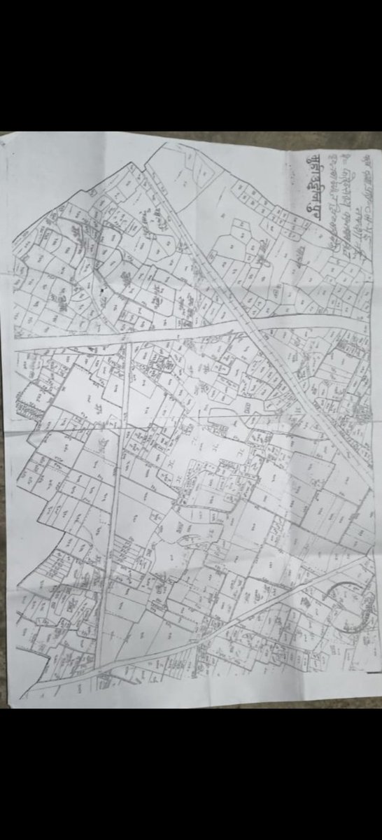 समाचार TODAY 24 tweet media