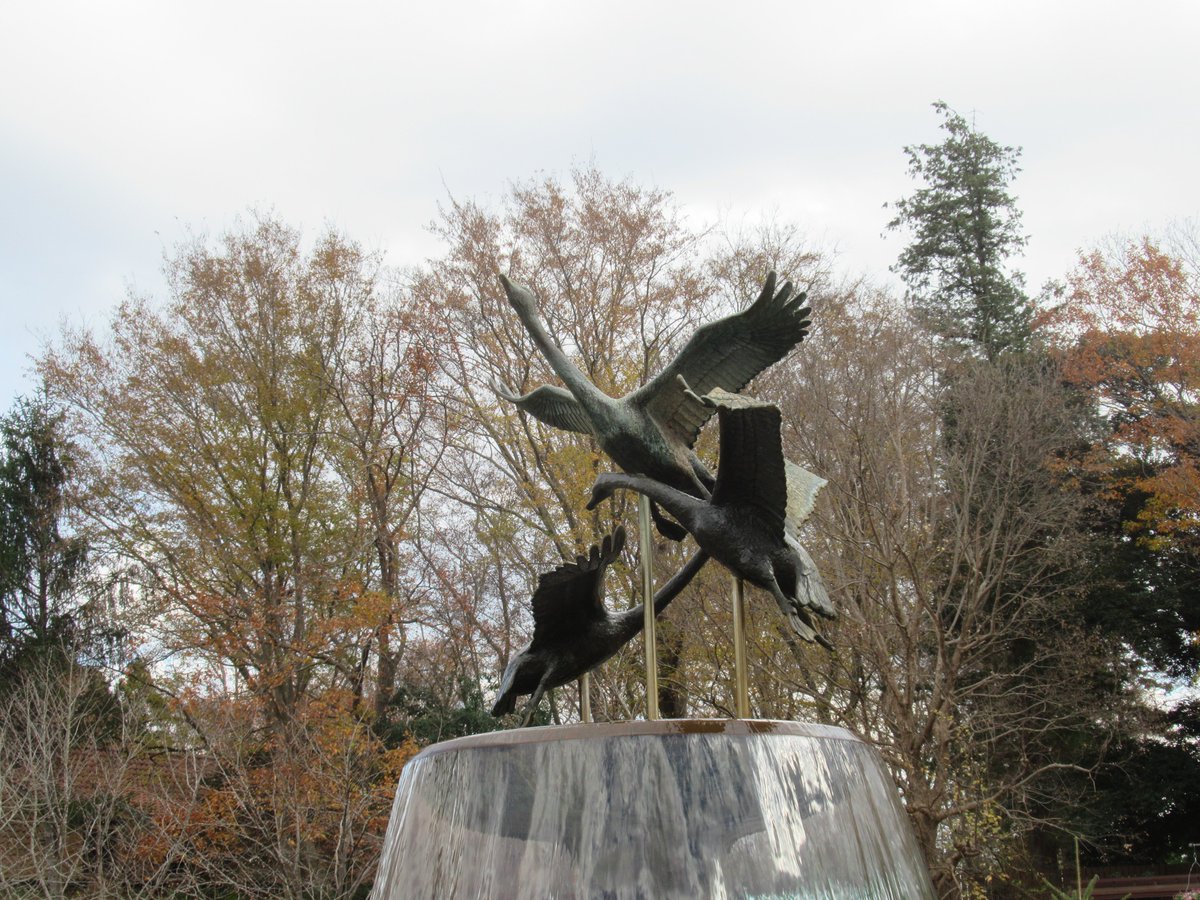 ふなばしアンデルセン公園　デンマーク風の街並みが再現されていて、よかったです😃